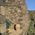 Dammusi Futura Bugeber