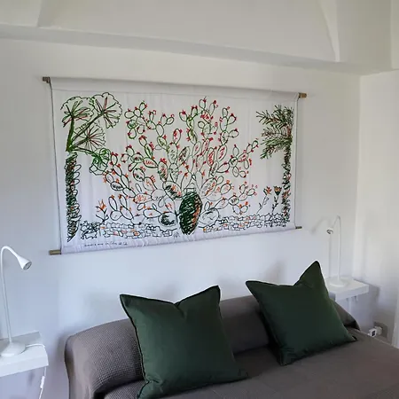 Dammusi Futura Bugeber