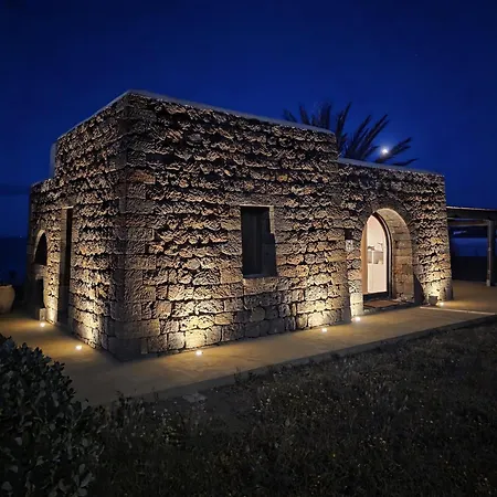 Dammusi Futura Bugeber