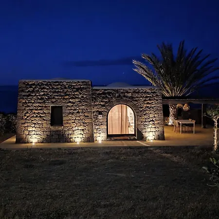 Dammusi Futura * Bugeber