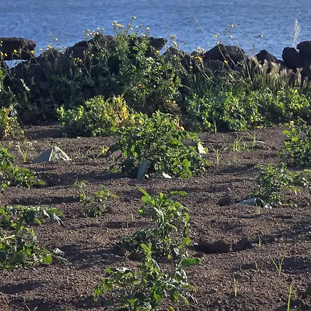 Дом отдыха Dammusi Futura *