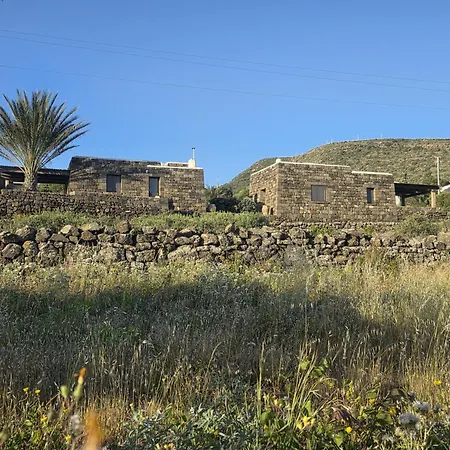 Dammusi Futura * Bugeber