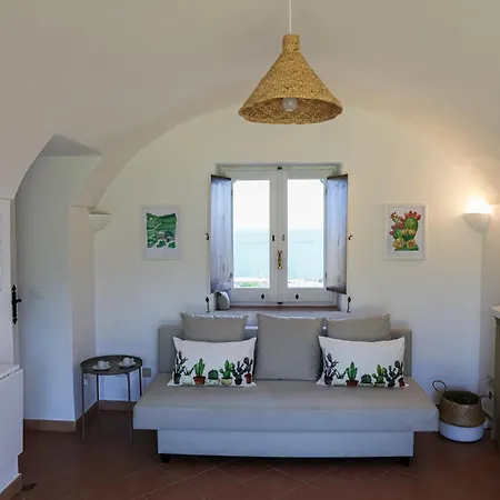 Dammusi Futura Bugeber