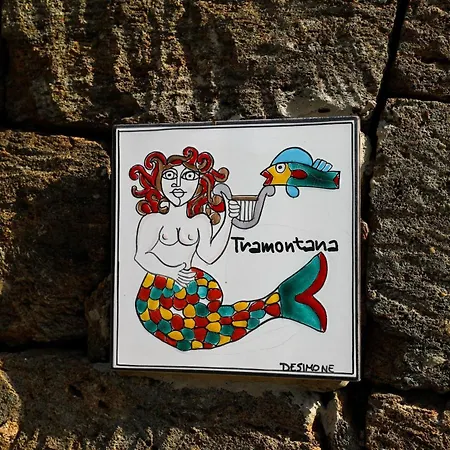 Dammusi Futura * Bugeber