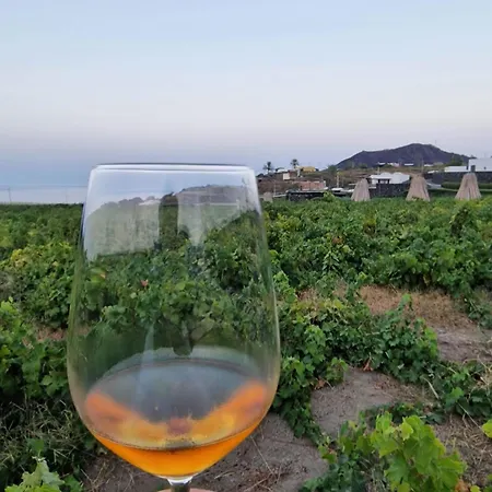 Дом отдыха Dammusi Futura Bugeber