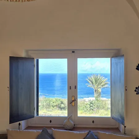 Dammusi Futura * Bugeber