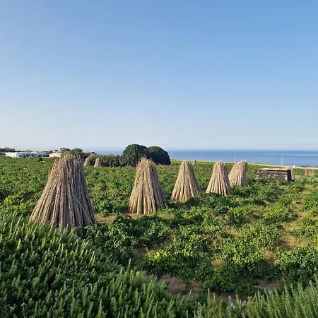 Dammusi Futura Hébergement de vacances *