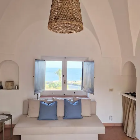 Dammusi Futura * Bugeber