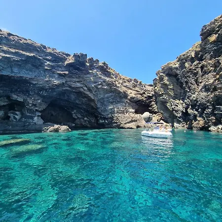 Dammusi Futura * Bugeber